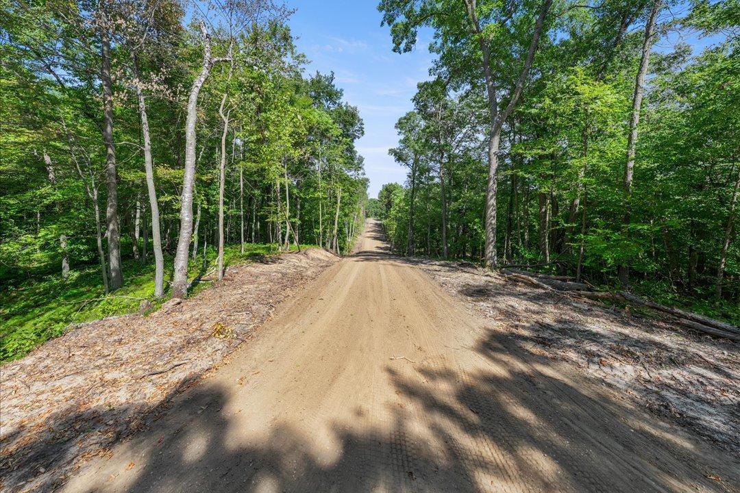 TBD Lot B Hidden Pond Lane, Pequot Lakes MN 56472 - Photo 5 of 20