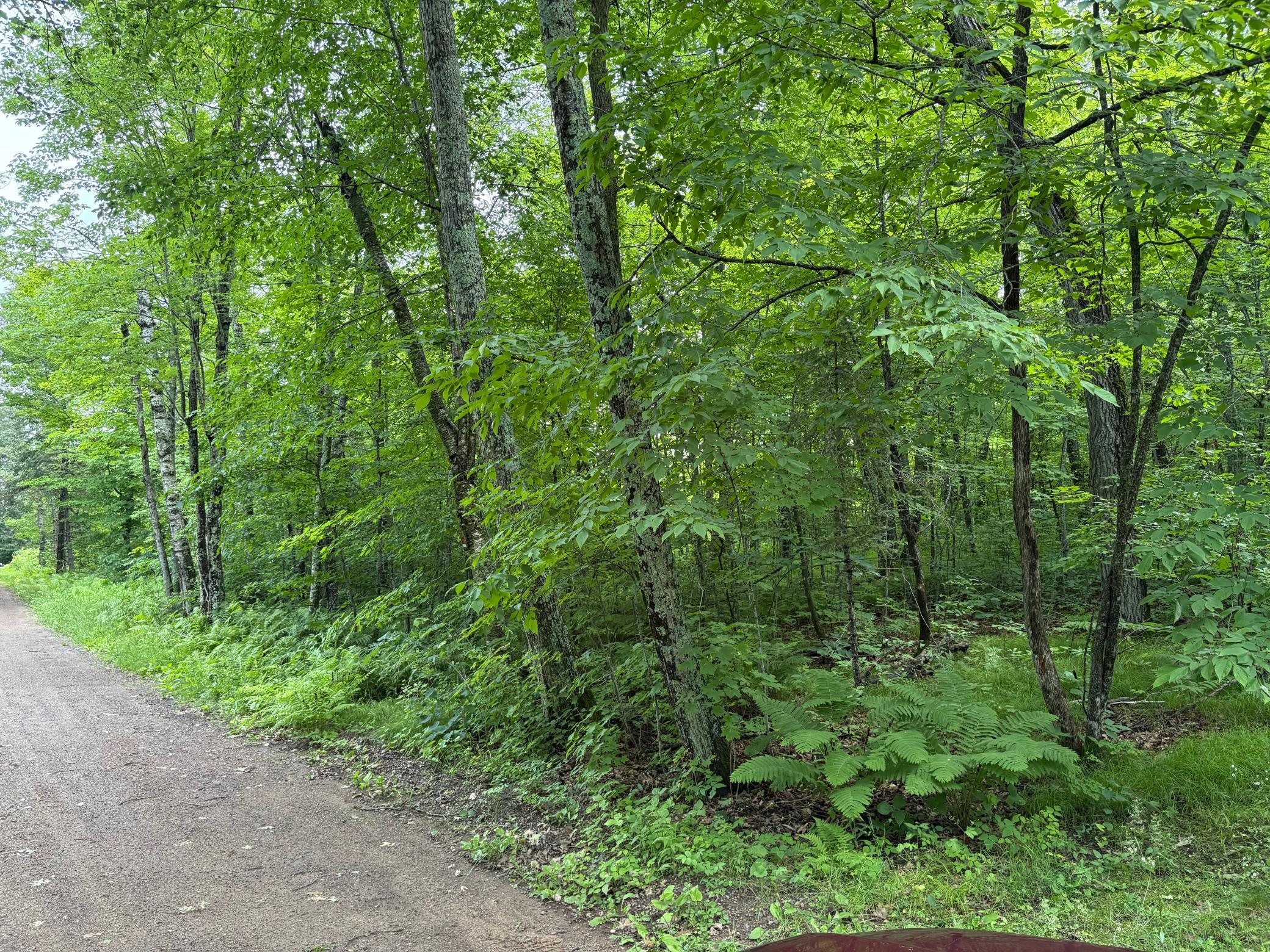 TBD 254th Lane, Hazelton Twp MN 56431 - Photo 2 of 3