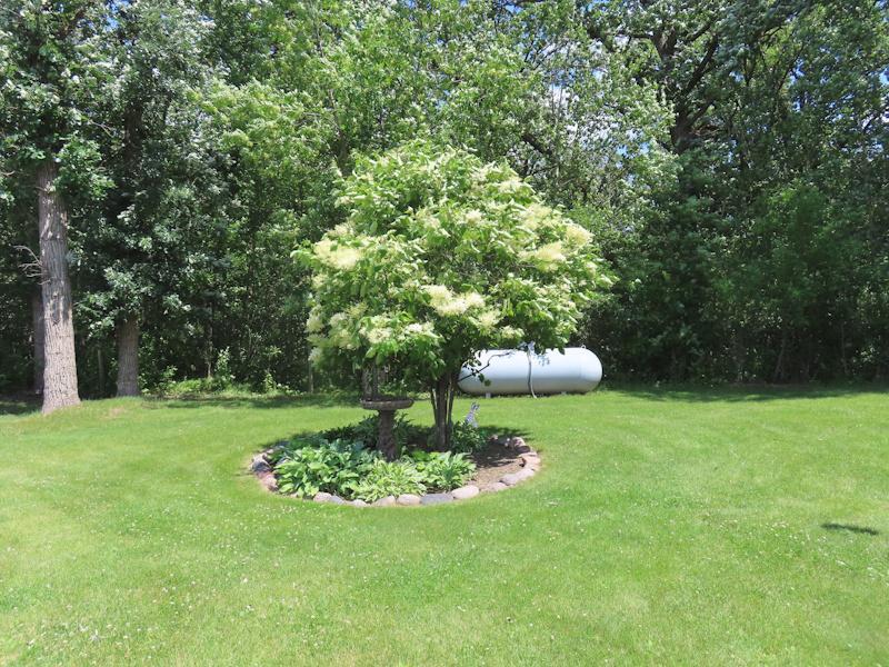 12615 330th Street NW, Newfolden MN 56738 - Photo 45 of 61
