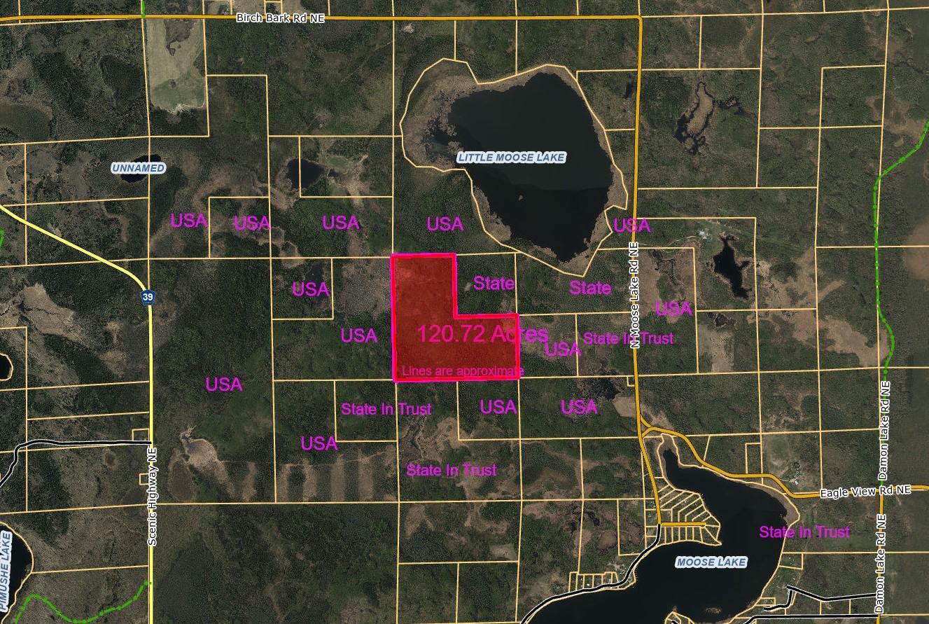 land for sale at TBD N Moose Lake Road in Pennington, MN (photo 2 of 26)