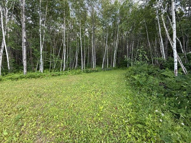 land for sale at TBD N Moose Lake Road in Pennington, MN (photo 11 of 26)