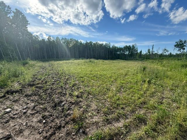 land for sale at TBD N Moose Lake Road in Pennington, MN (photo 12 of 26)