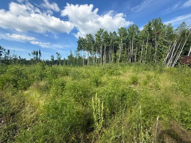 land for sale at TBD N Moose Lake Road in Pennington, MN (photo 13 of 26)