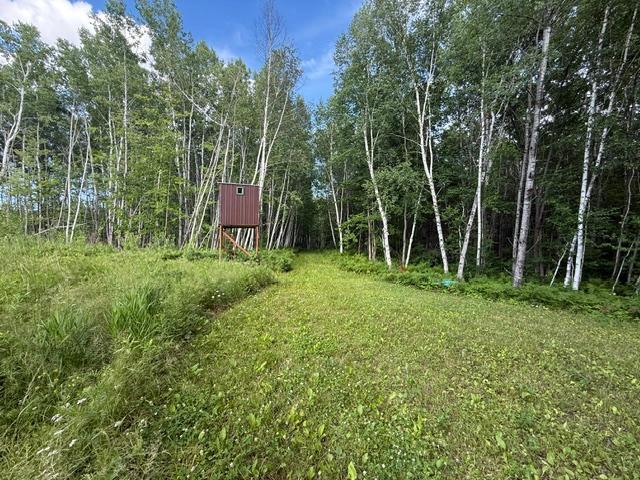 land for sale at TBD N Moose Lake Road in Pennington, MN (photo 14 of 26)
