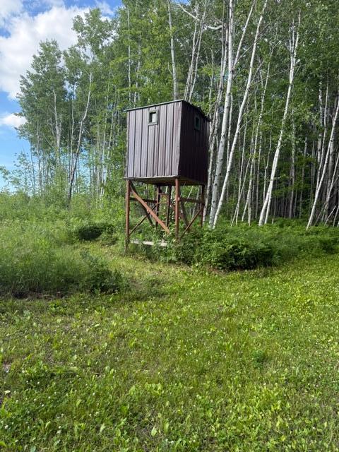 land for sale at TBD N Moose Lake Road in Pennington, MN (photo 15 of 26)