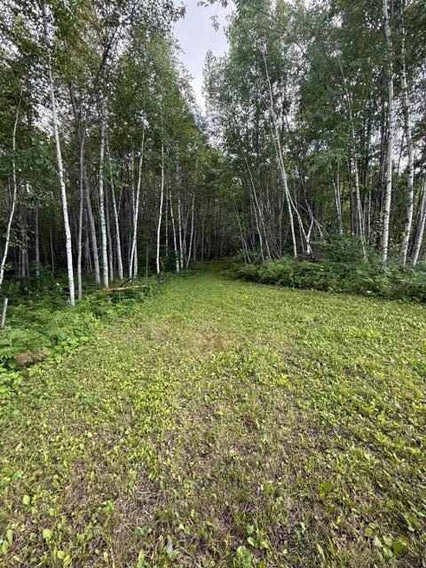 land for sale at TBD N Moose Lake Road in Pennington, MN (photo 16 of 26)