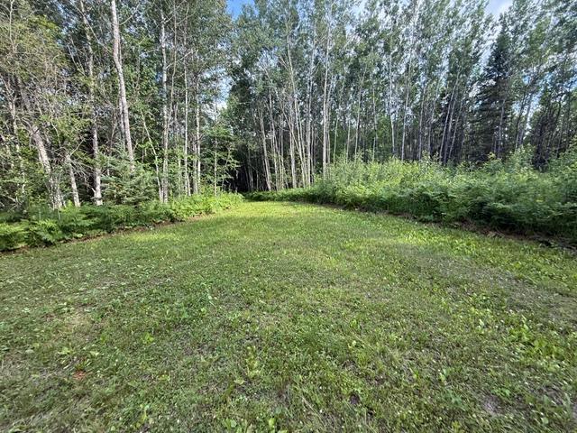 land for sale at TBD N Moose Lake Road in Pennington, MN (photo 17 of 26)