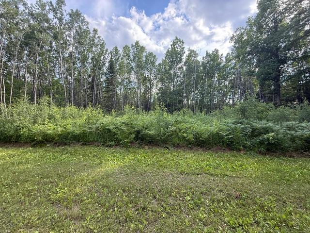 land for sale at TBD N Moose Lake Road in Pennington, MN (photo 18 of 26)