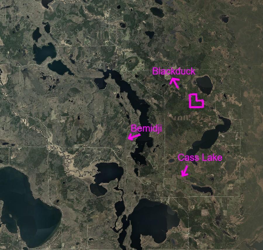 land for sale at TBD N Moose Lake Road in Pennington, MN (photo 3 of 26)