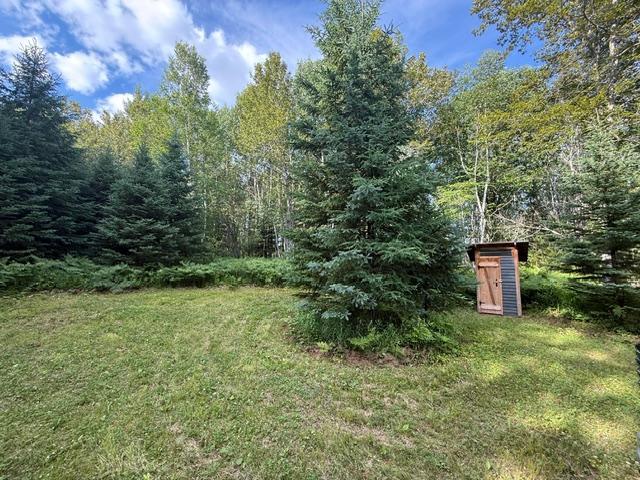 land for sale at TBD N Moose Lake Road in Pennington, MN (photo 21 of 26)