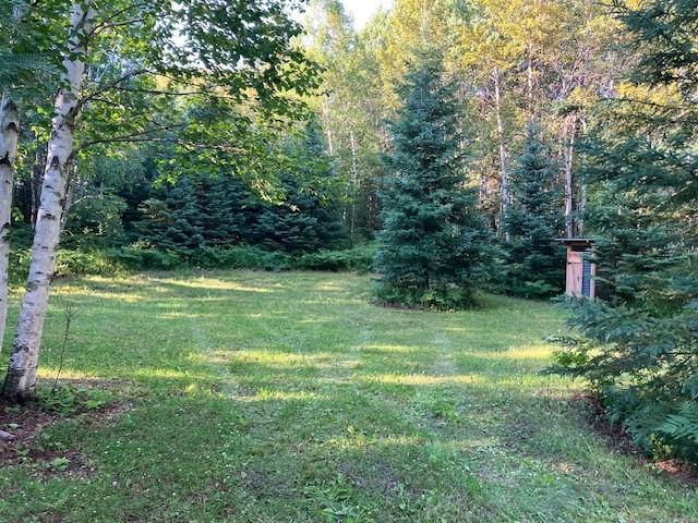 land for sale at TBD N Moose Lake Road in Pennington, MN (photo 22 of 26)