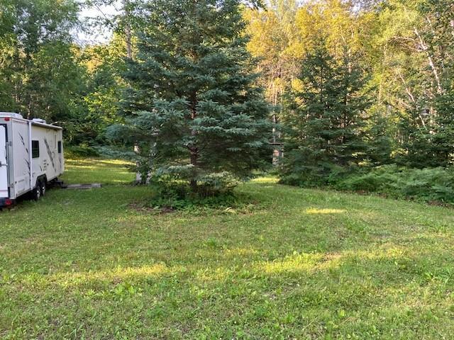 land for sale at TBD N Moose Lake Road in Pennington, MN (photo 25 of 26)