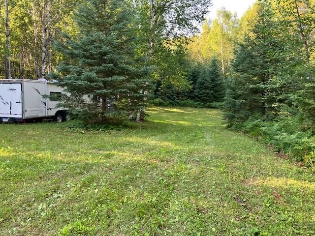 land for sale at TBD N Moose Lake Road in Pennington, MN (photo 26 of 26)