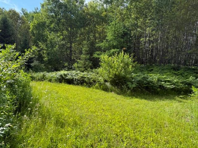 land for sale at TBD N Moose Lake Road in Pennington, MN (photo 5 of 26)