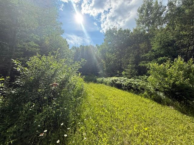 land for sale at TBD N Moose Lake Road in Pennington, MN (photo 6 of 26)
