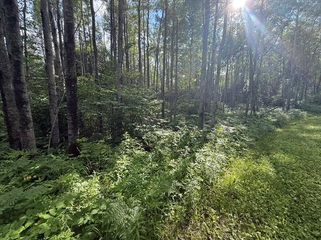 land for sale at TBD N Moose Lake Road in Pennington, MN (photo 8 of 26)