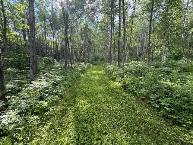 land for sale at TBD N Moose Lake Road in Pennington, MN (photo 9 of 26)