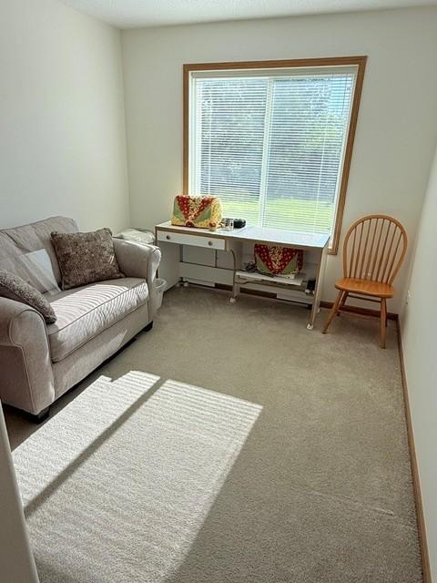 3208 Park Avenue NW, Bemidji MN 56601 - Photo 10 of 14