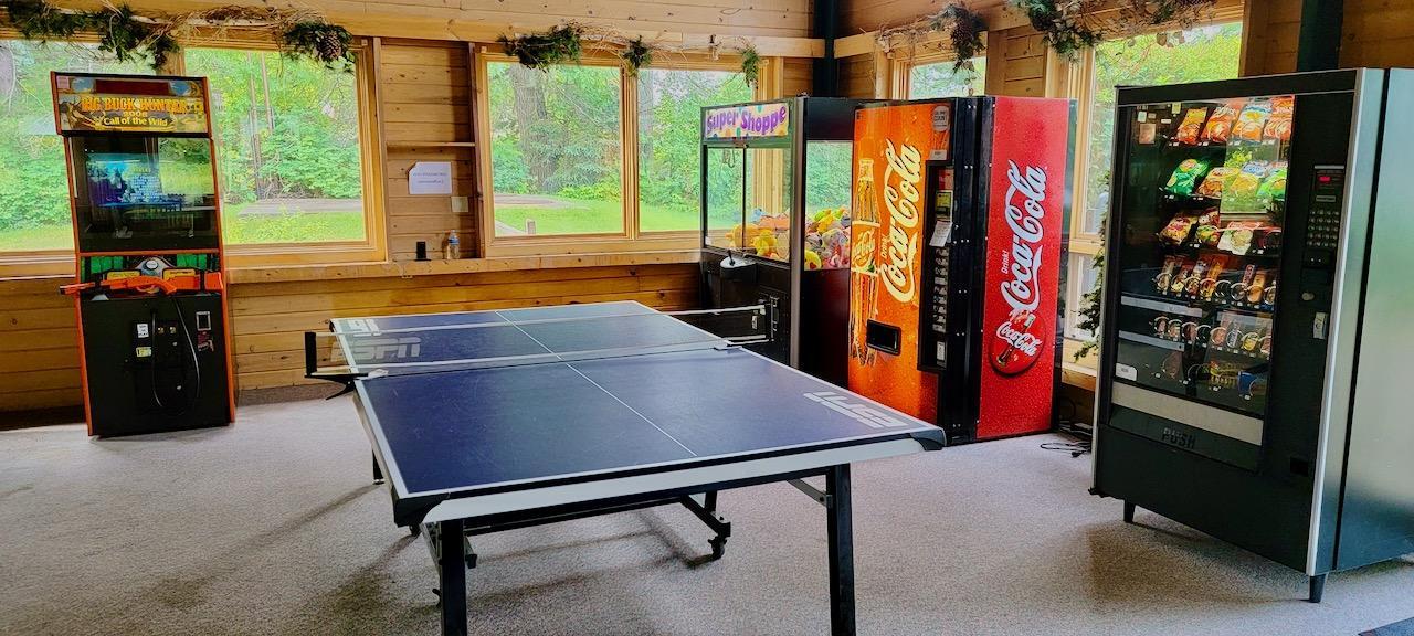 8066 #165 Lost Lake Road, Lake Shore MN 56468 - Photo 63 of 66