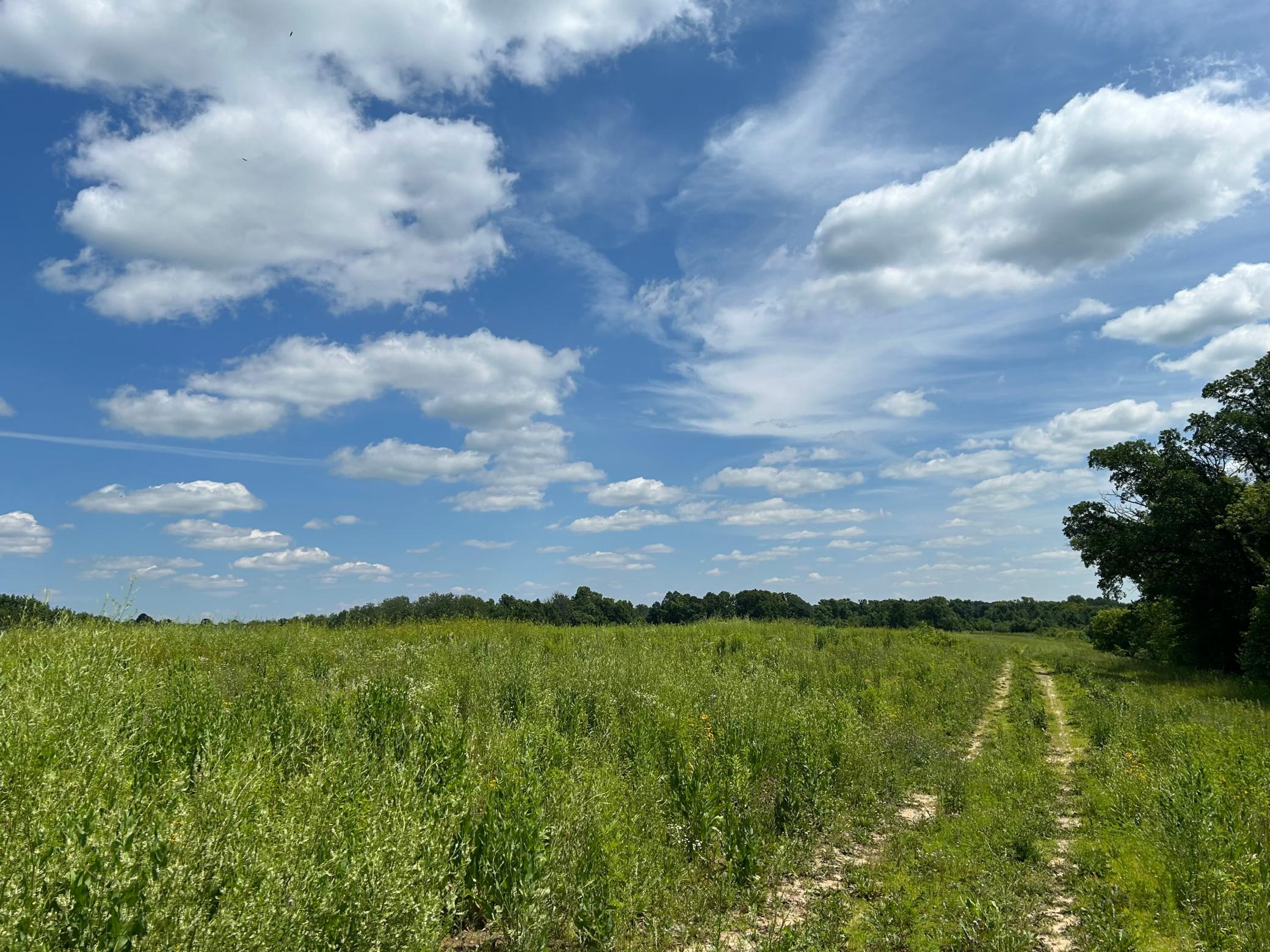 36216 493RD Avenue, New York Mills MN 56567 - Photo 5 of 7