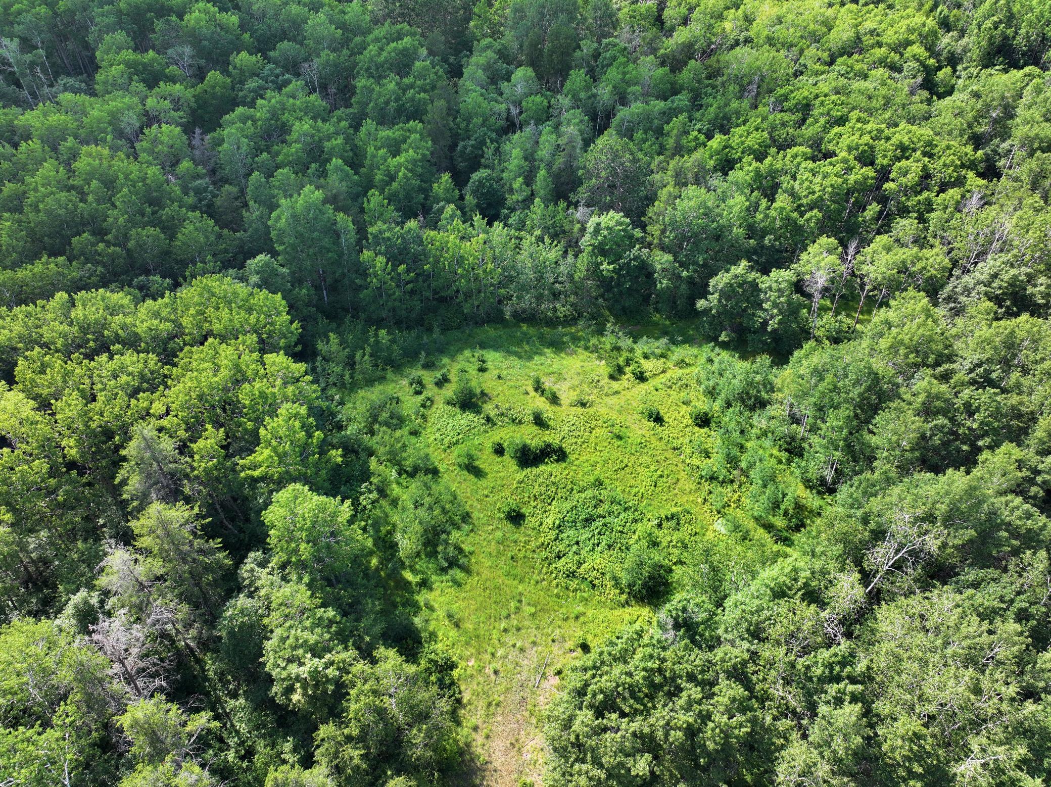TBD US 71 - 16.7 AC, Park Rapids MN 56470 - Photo 3 of 12