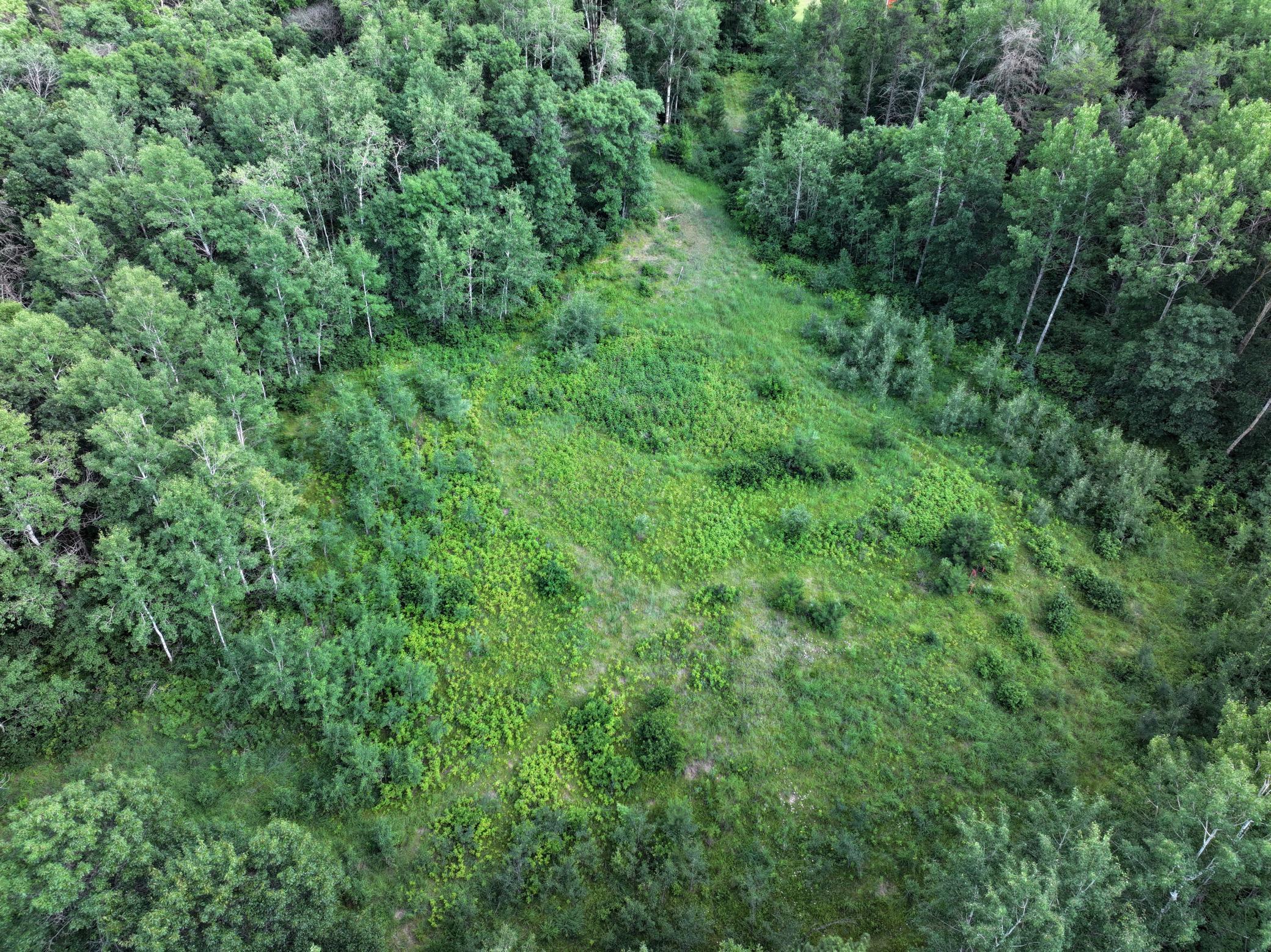 TBD US 71 - 16.7 AC, Park Rapids MN 56470 - Photo 7 of 12