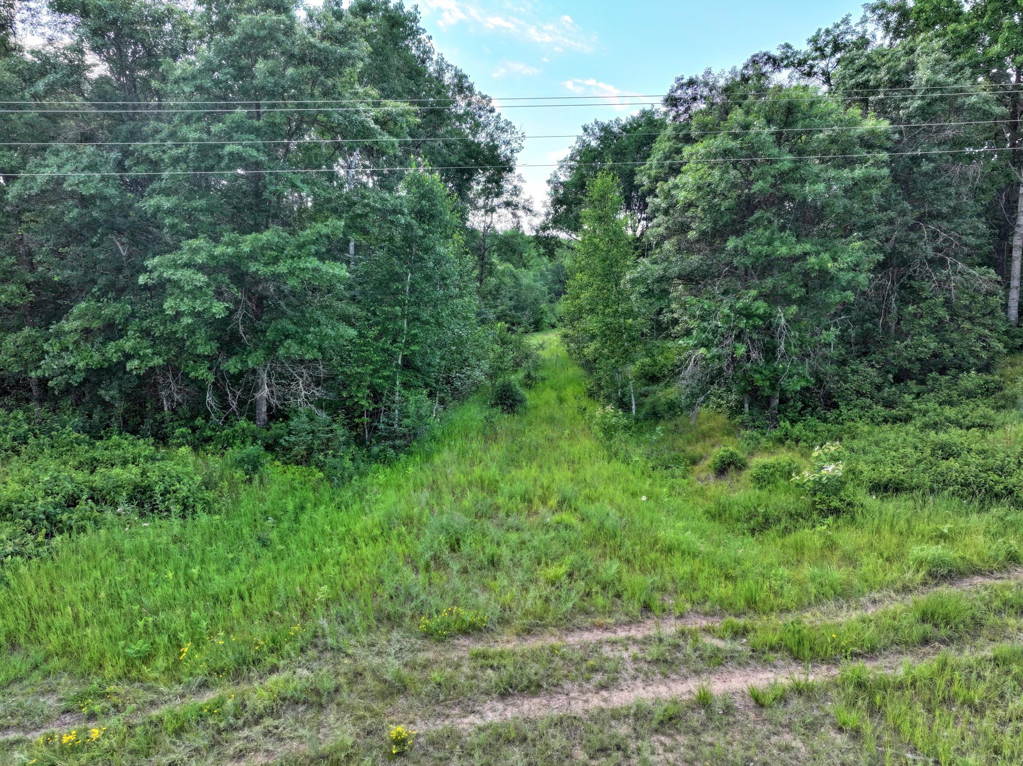 TBD US 71 - 16.7 AC, Park Rapids MN 56470 - Photo 10 of 12