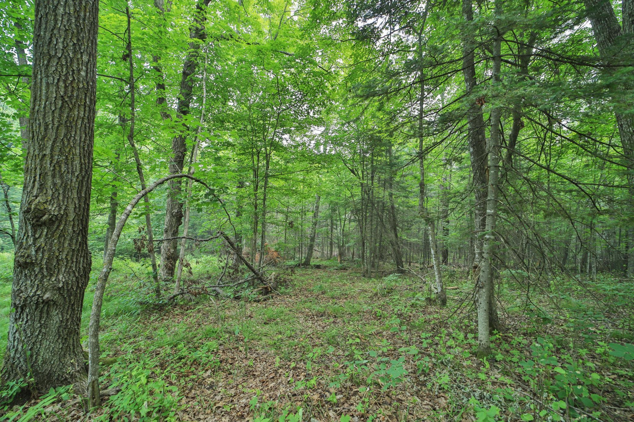 TBD 178th Ln/Garden Lane, McGregor MN 55760 - Photo 3 of 6