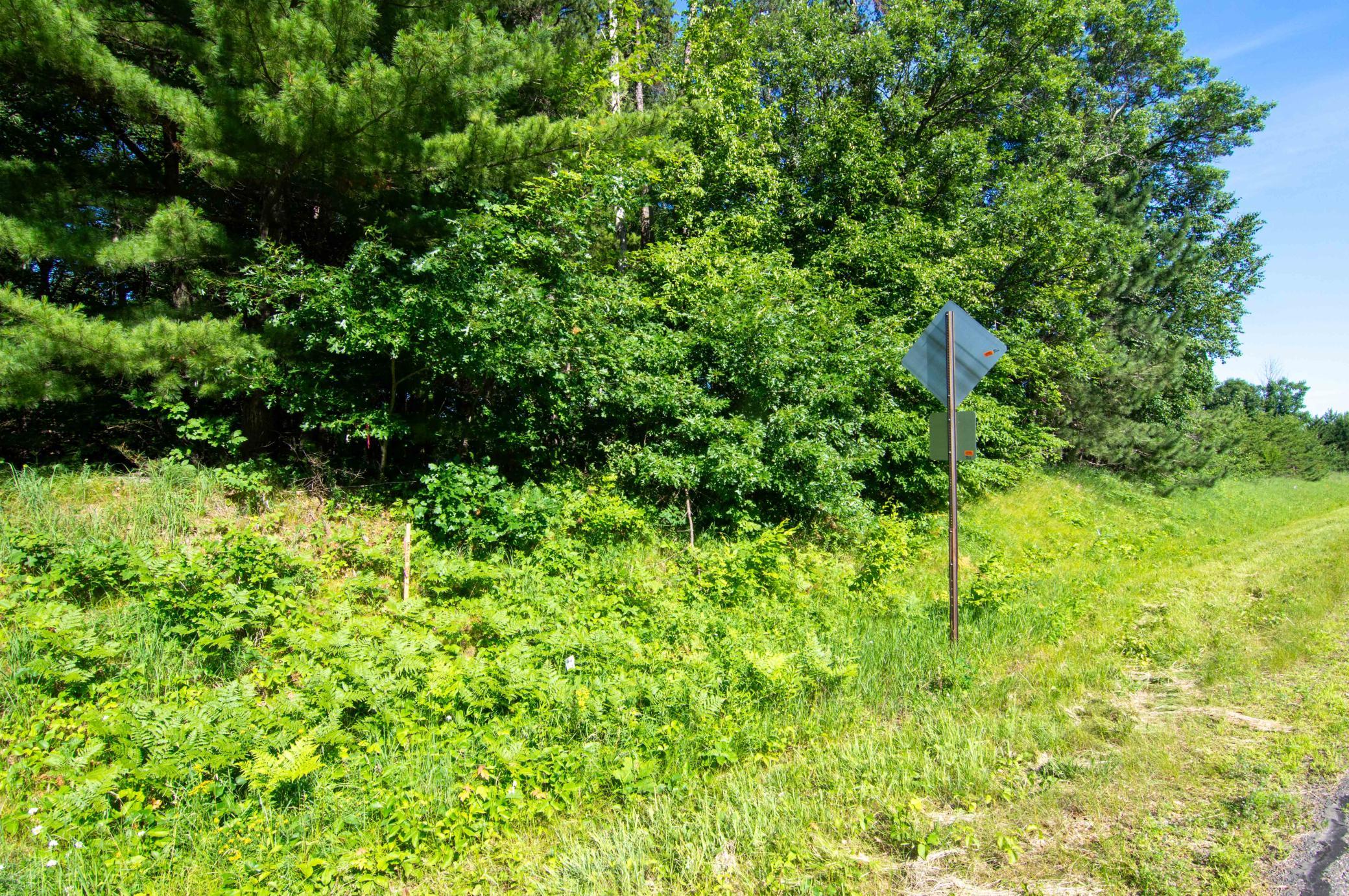 TBD County Road 19, Merrifield MN 56465 - Photo 4 of 4