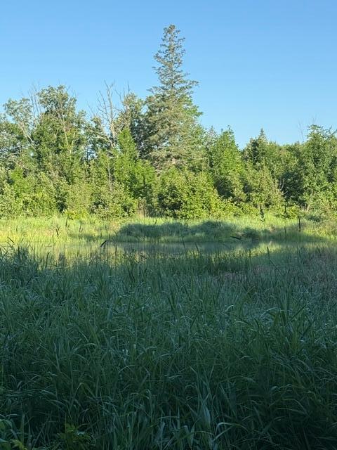 TBD TBD, Pine River MN 56474 - Photo 2 of 7