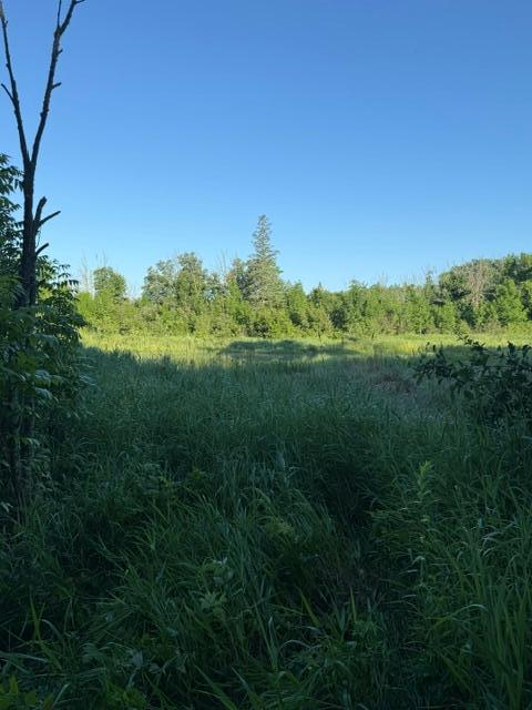 TBD TBD, Pine River MN 56474 - Photo 3 of 7