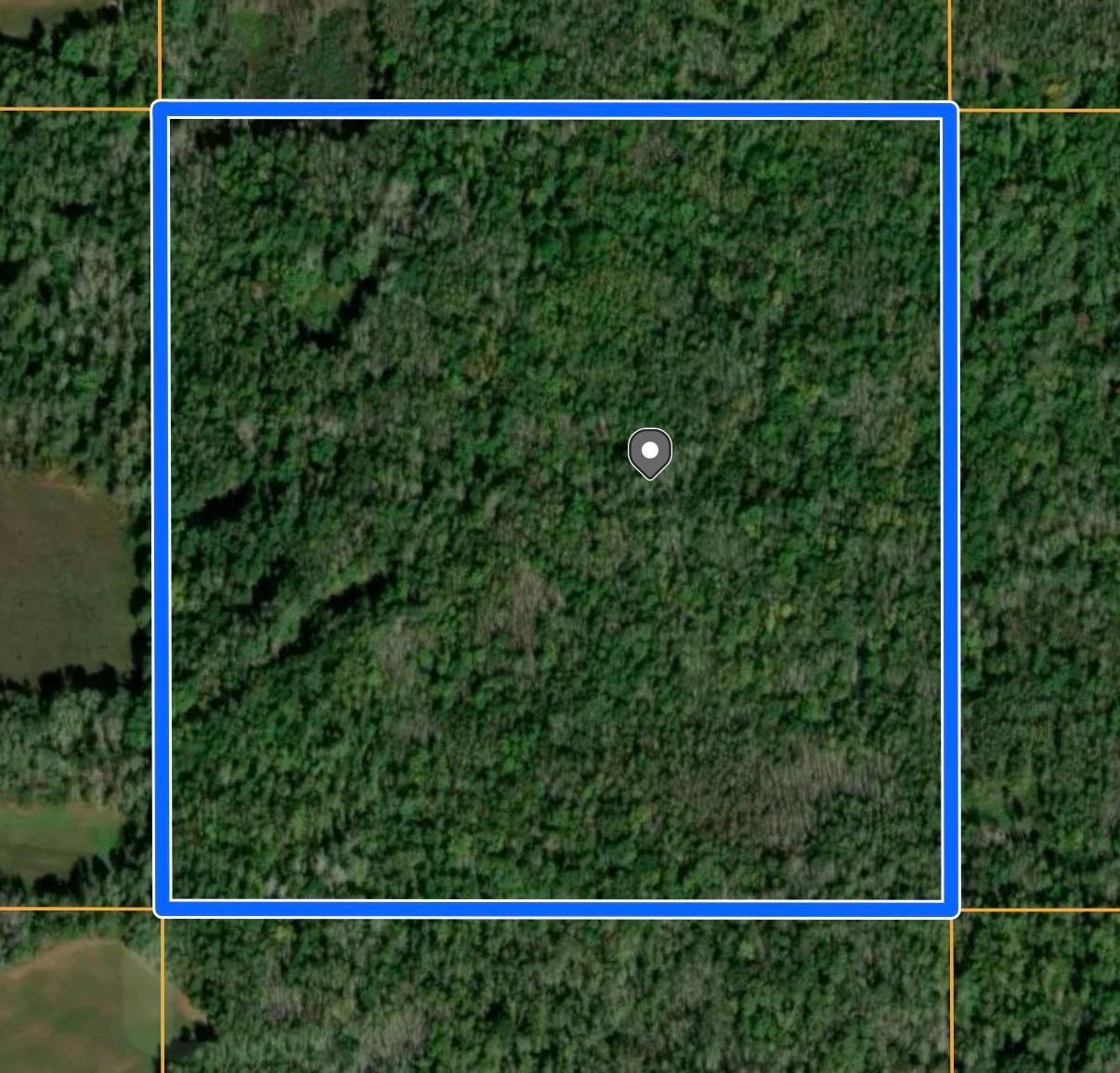 TBD TBD, Pine River MN 56474 - Photo 7 of 7