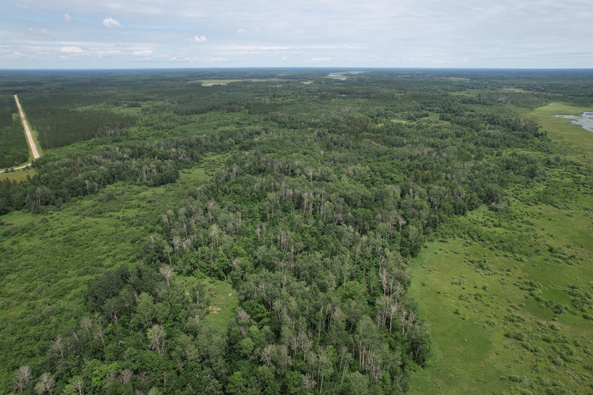 TBD 350th Street, Menahga MN 56464 - Photo 11 of 100