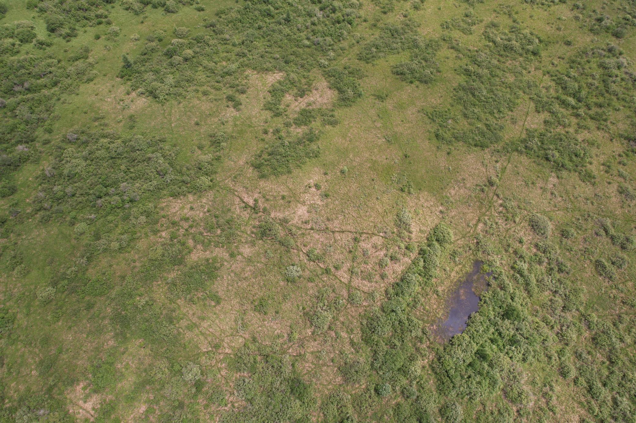 TBD 350th Street, Menahga MN 56464 - Photo 12 of 100