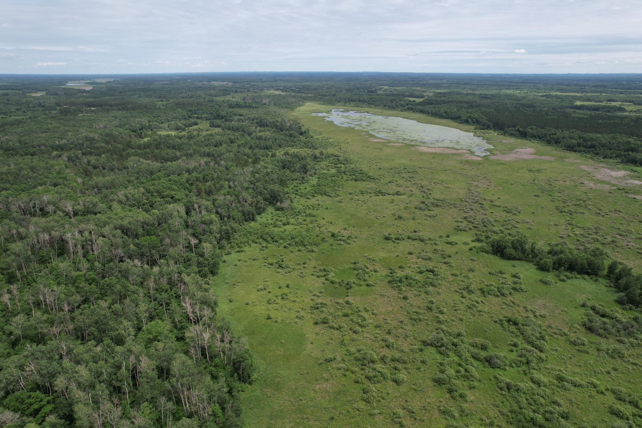 TBD 350th Street, Menahga MN 56464 - Photo 13 of 100