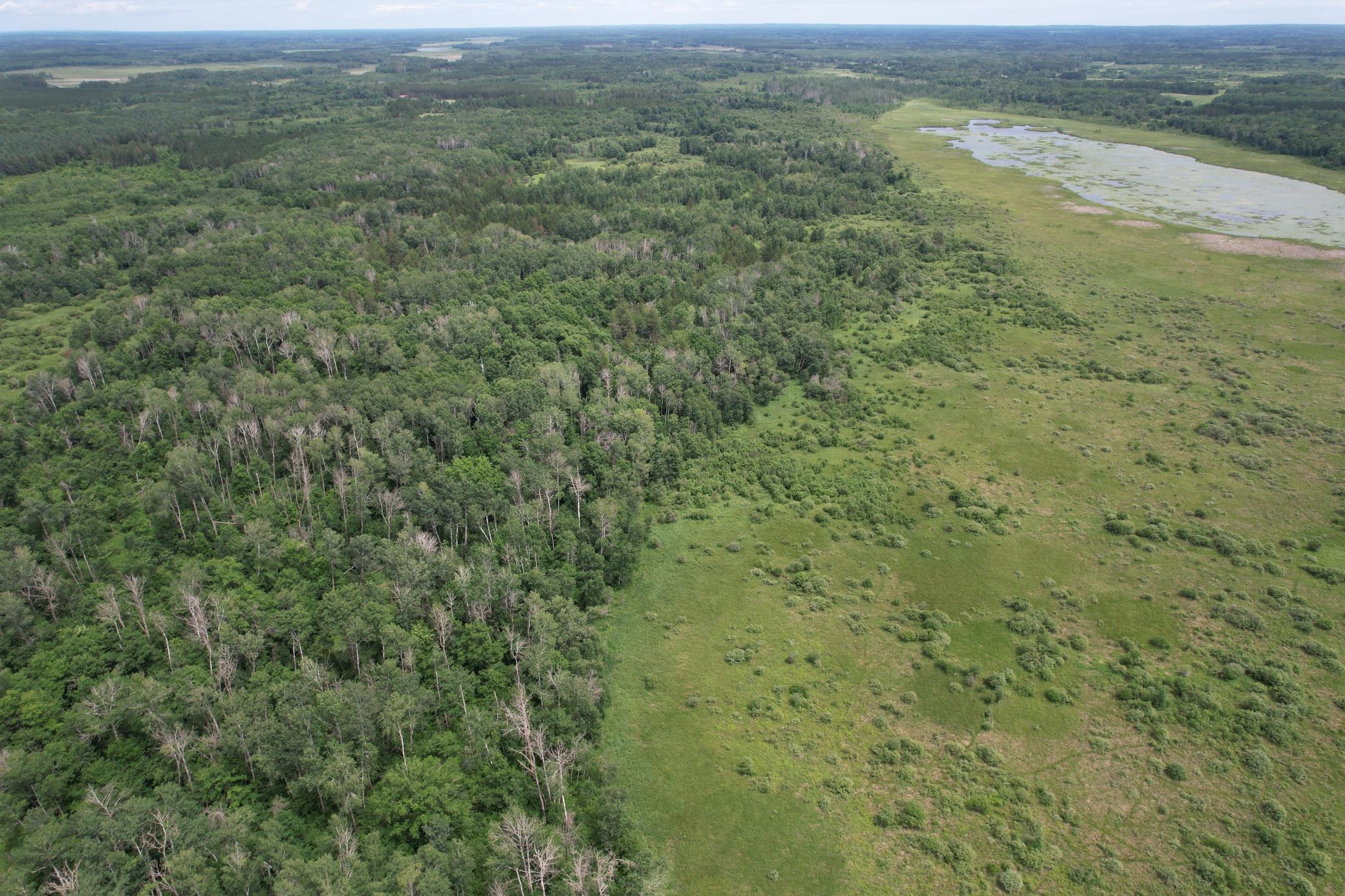 TBD 350th Street, Menahga MN 56464 - Photo 14 of 100