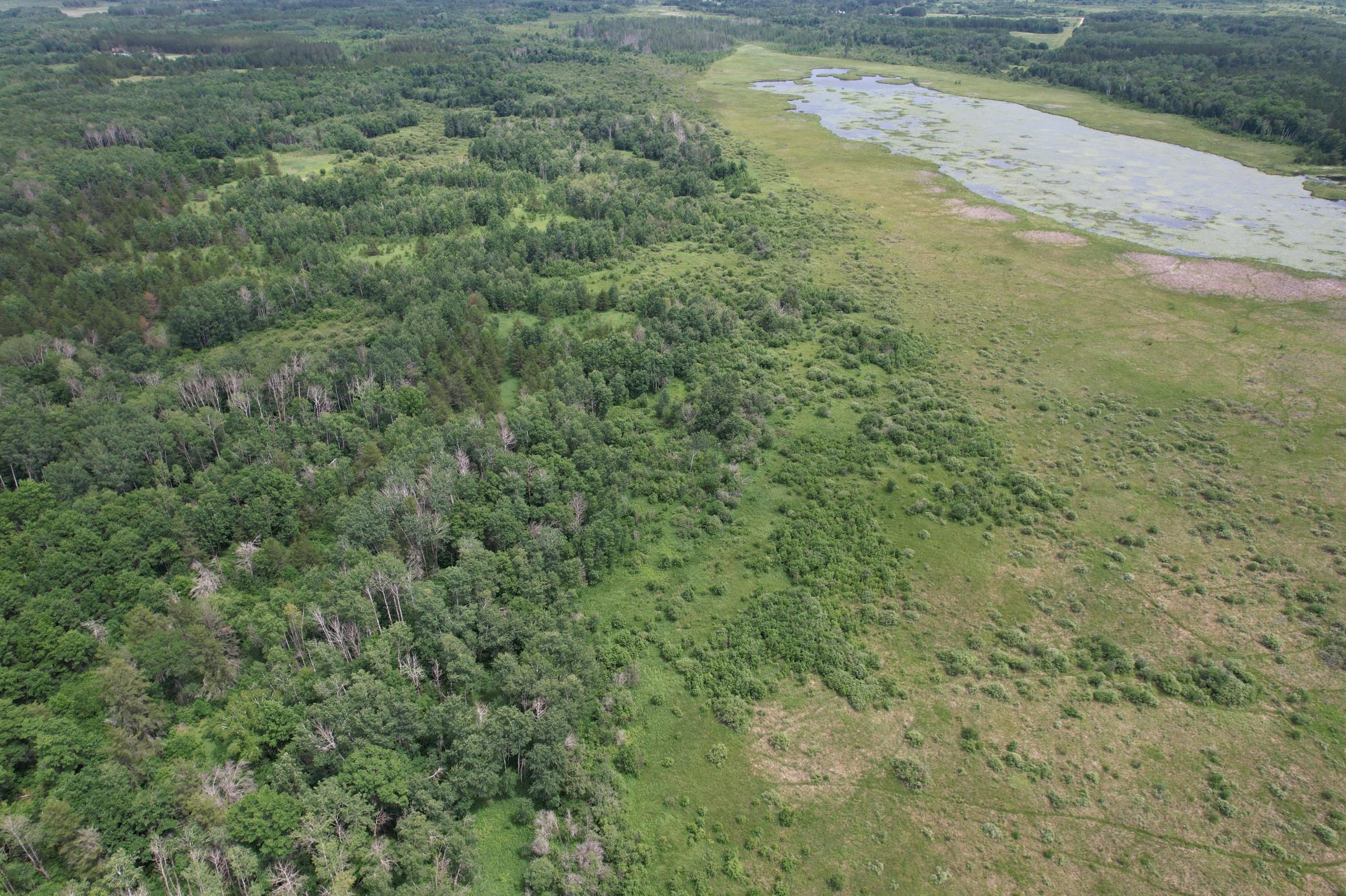 TBD 350th Street, Menahga MN 56464 - Photo 18 of 100