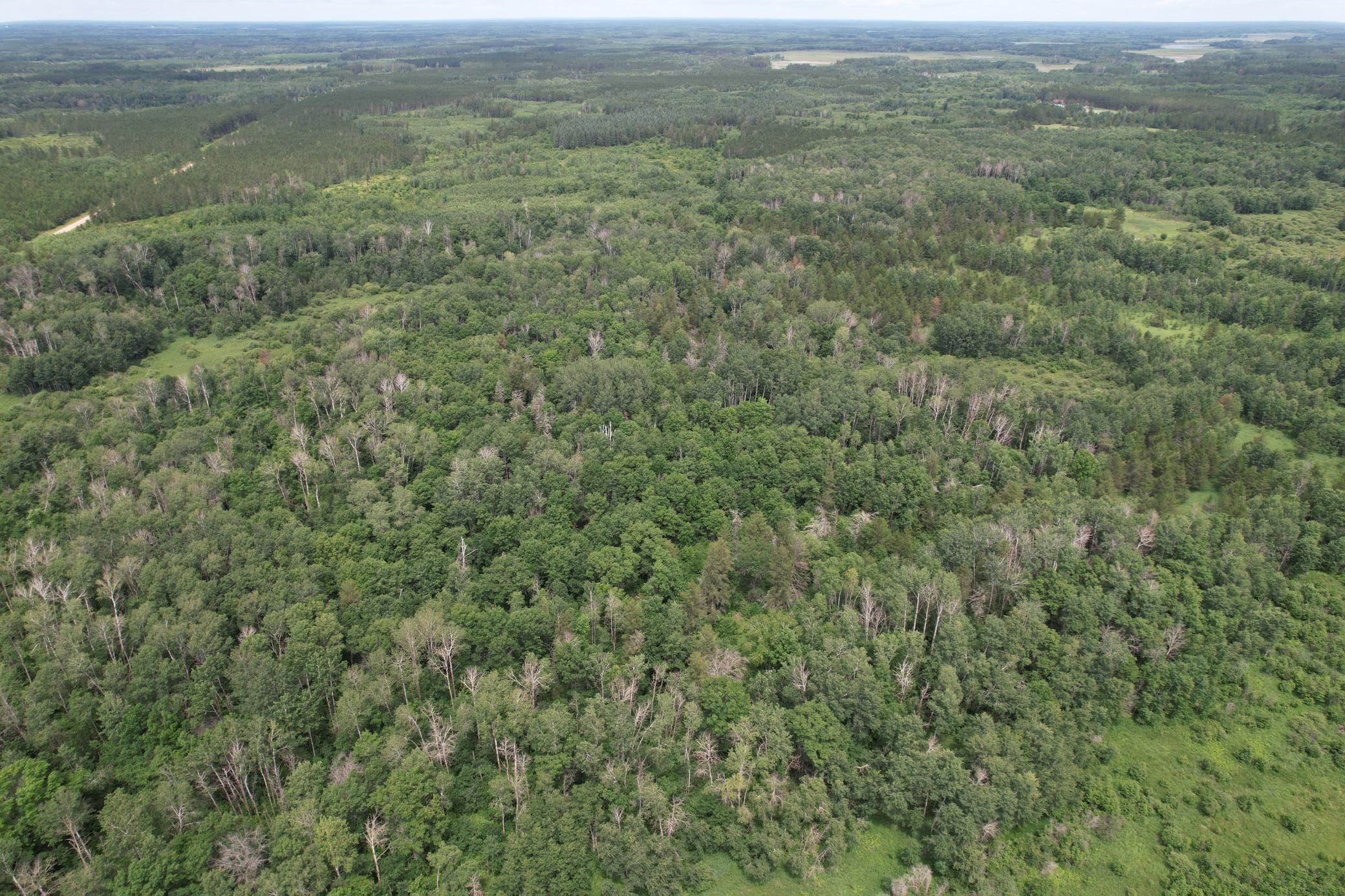 TBD 350th Street, Menahga MN 56464 - Photo 19 of 100