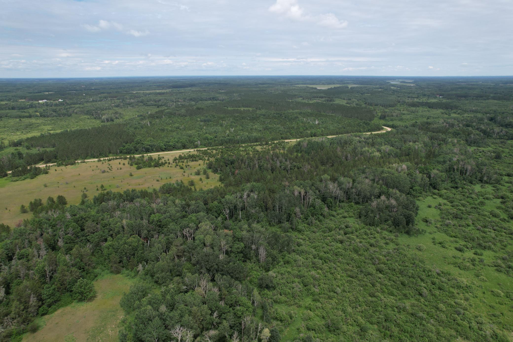 TBD 350th Street, Menahga MN 56464 - Photo 3 of 100