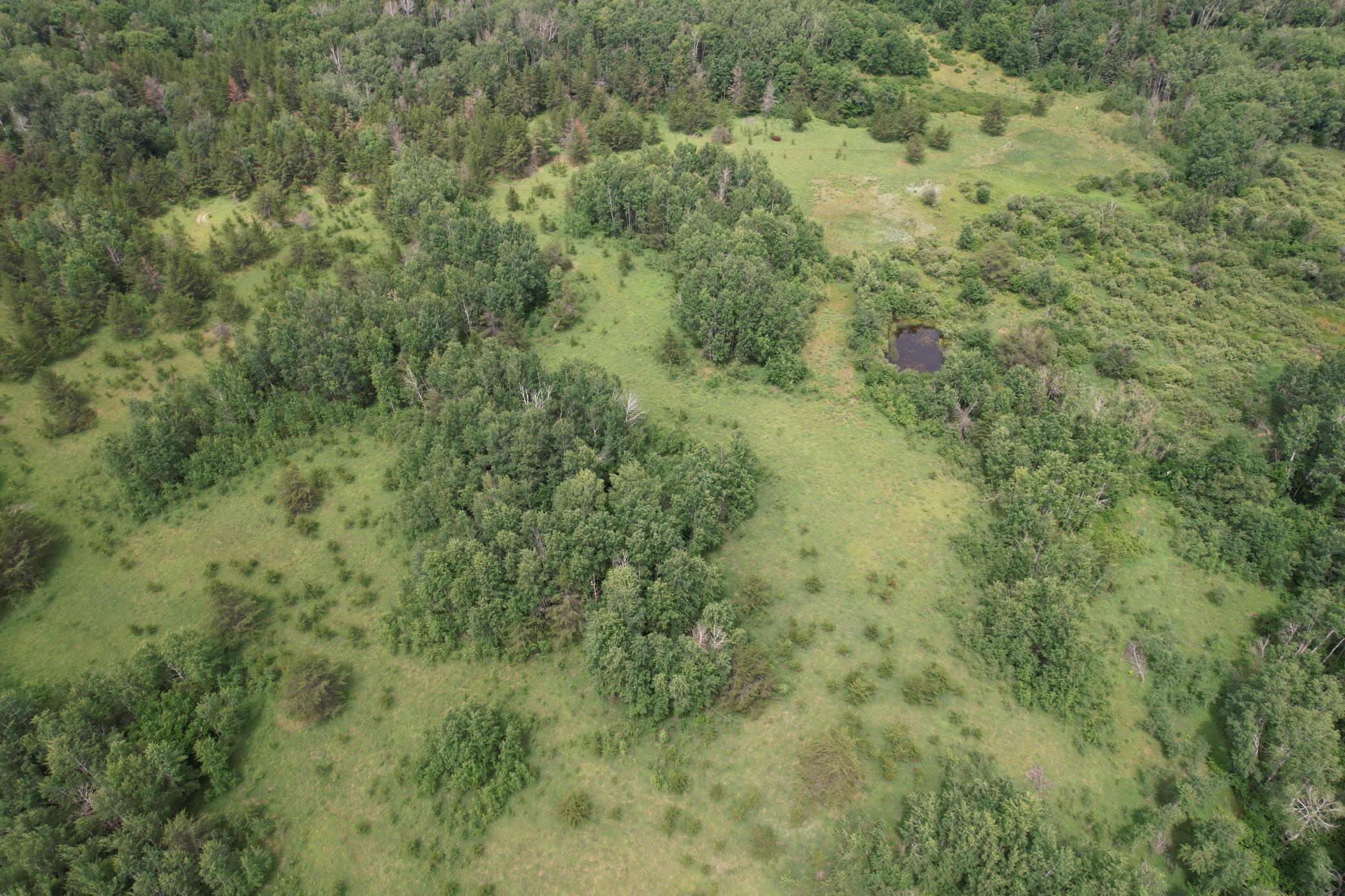 TBD 350th Street, Menahga MN 56464 - Photo 23 of 100