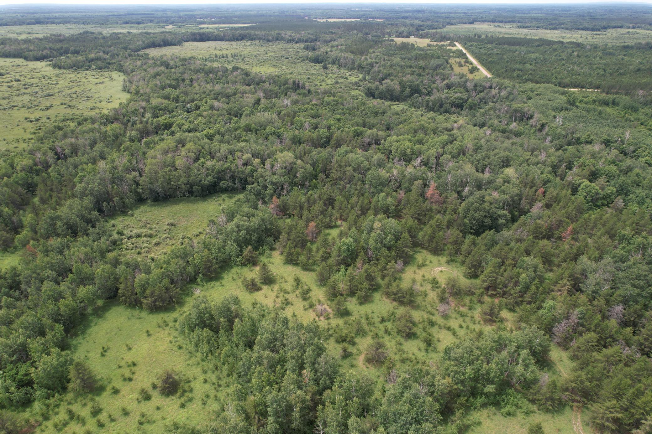 TBD 350th Street, Menahga MN 56464 - Photo 24 of 100