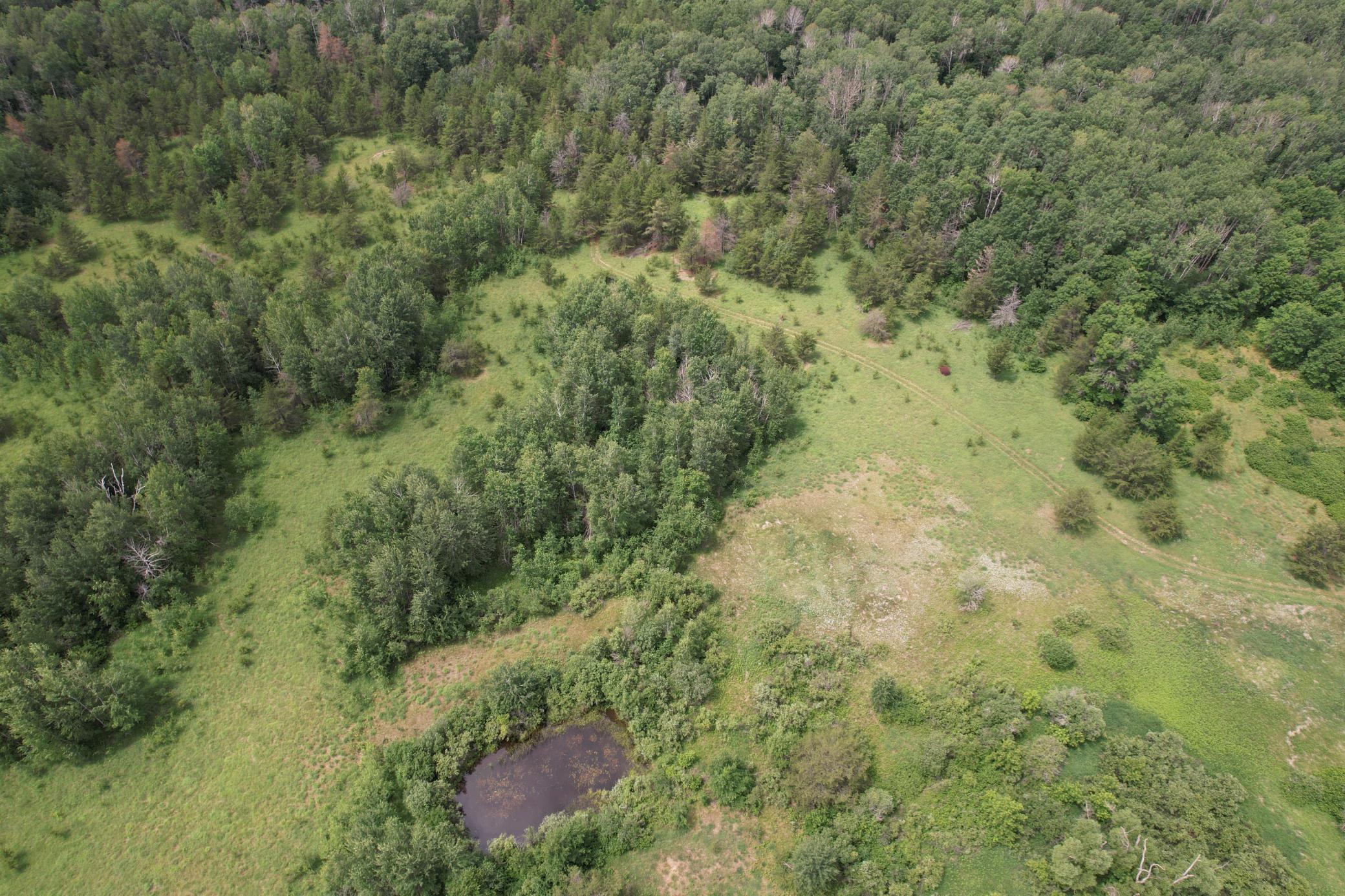 TBD 350th Street, Menahga MN 56464 - Photo 26 of 100