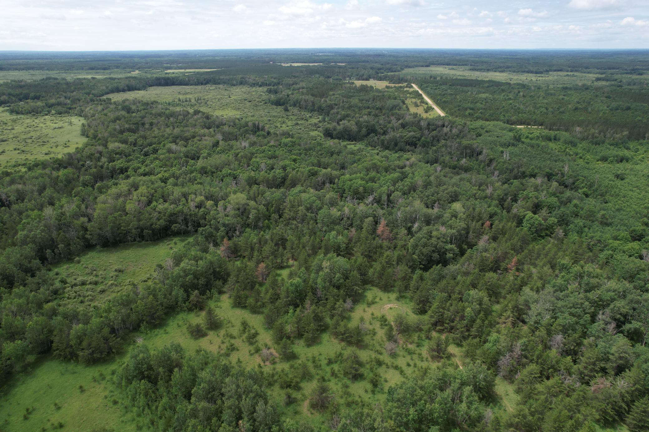 TBD 350th Street, Menahga MN 56464 - Photo 27 of 100