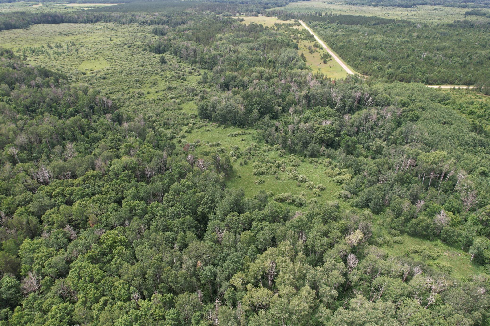 TBD 350th Street, Menahga MN 56464 - Photo 29 of 100