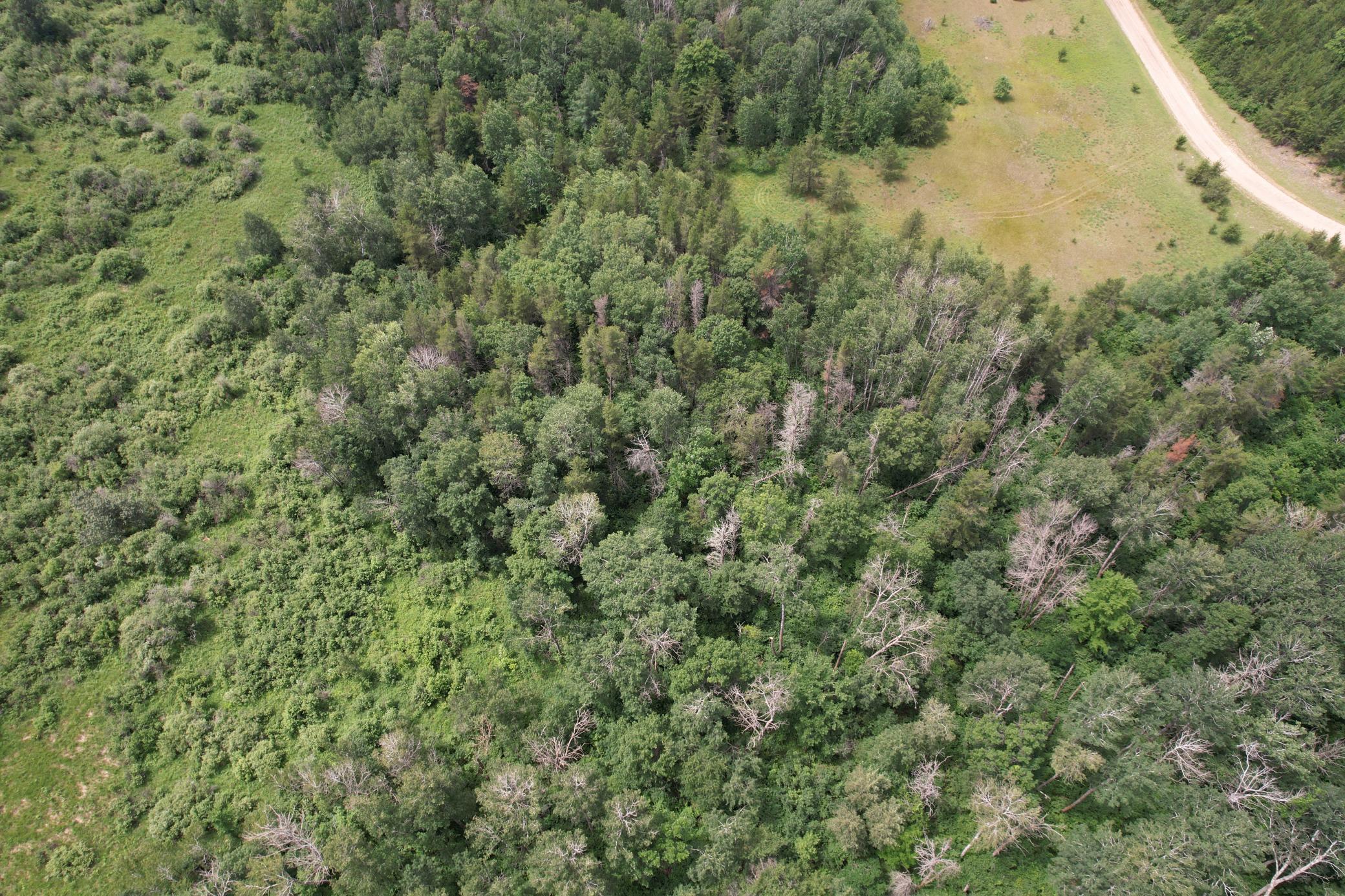 TBD 350th Street, Menahga MN 56464 - Photo 30 of 100