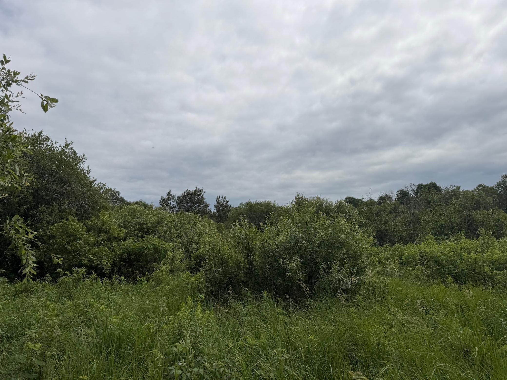 TBD 350th Street, Menahga MN 56464 - Photo 38 of 100