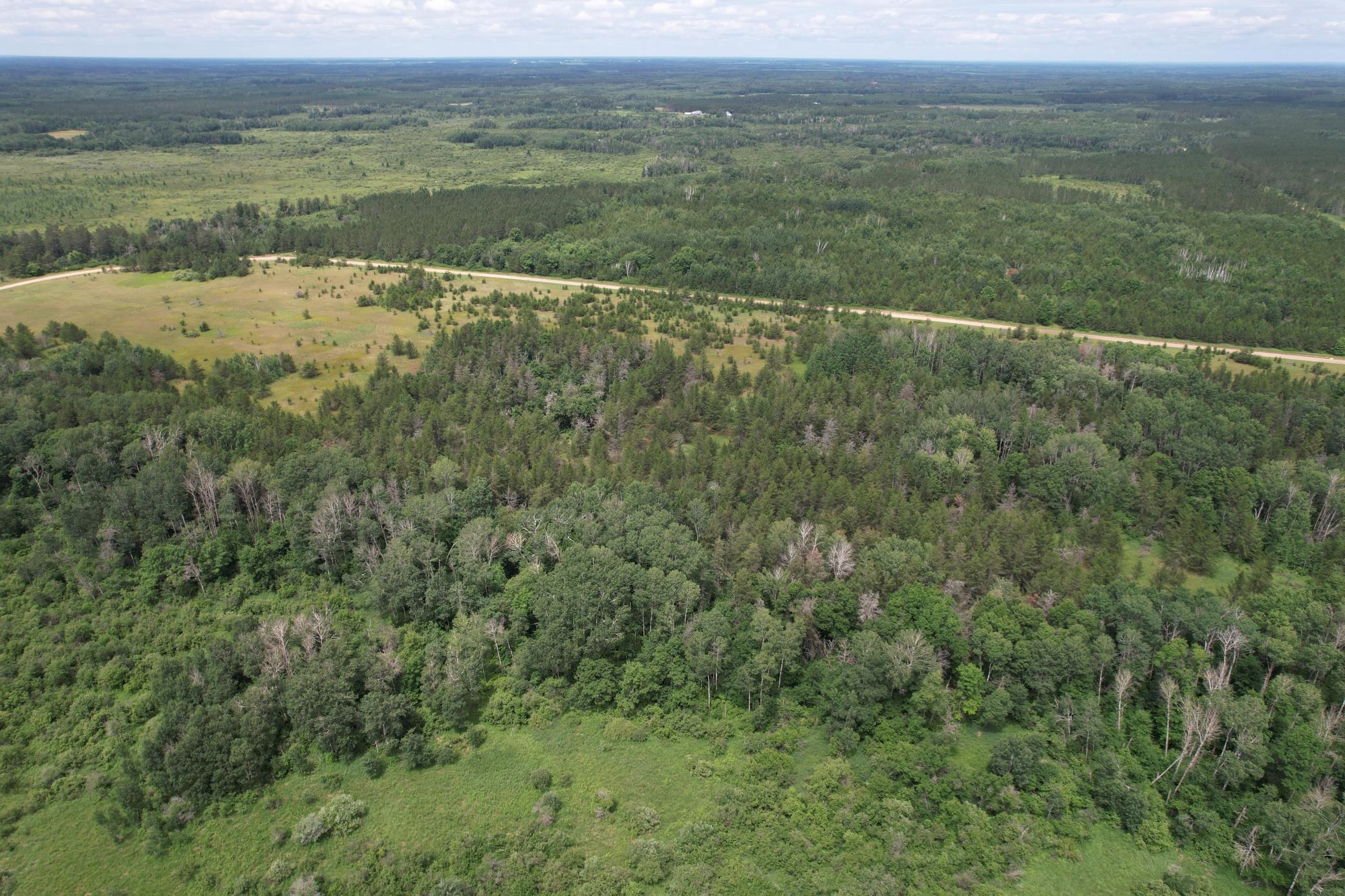 TBD 350th Street, Menahga MN 56464 - Photo 5 of 100