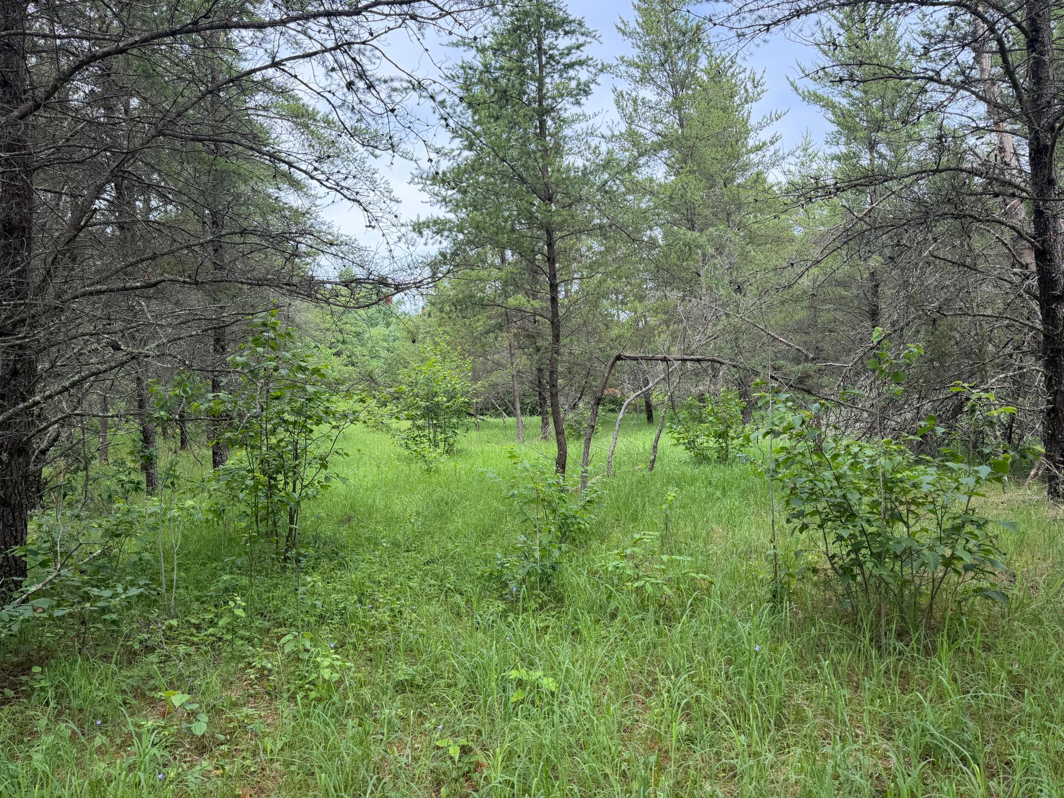 TBD 350th Street, Menahga MN 56464 - Photo 50 of 100