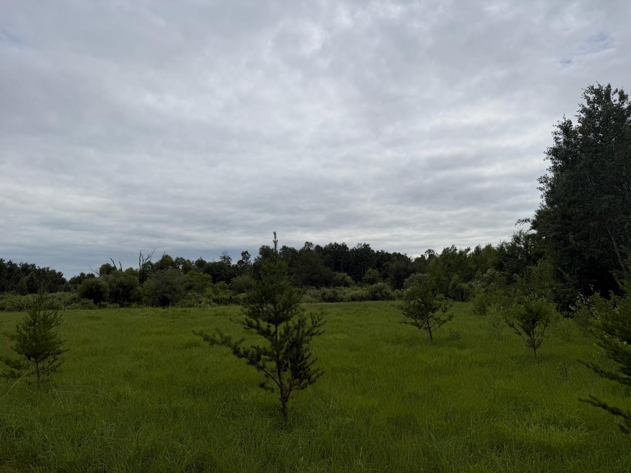 TBD 350th Street, Menahga MN 56464 - Photo 54 of 100