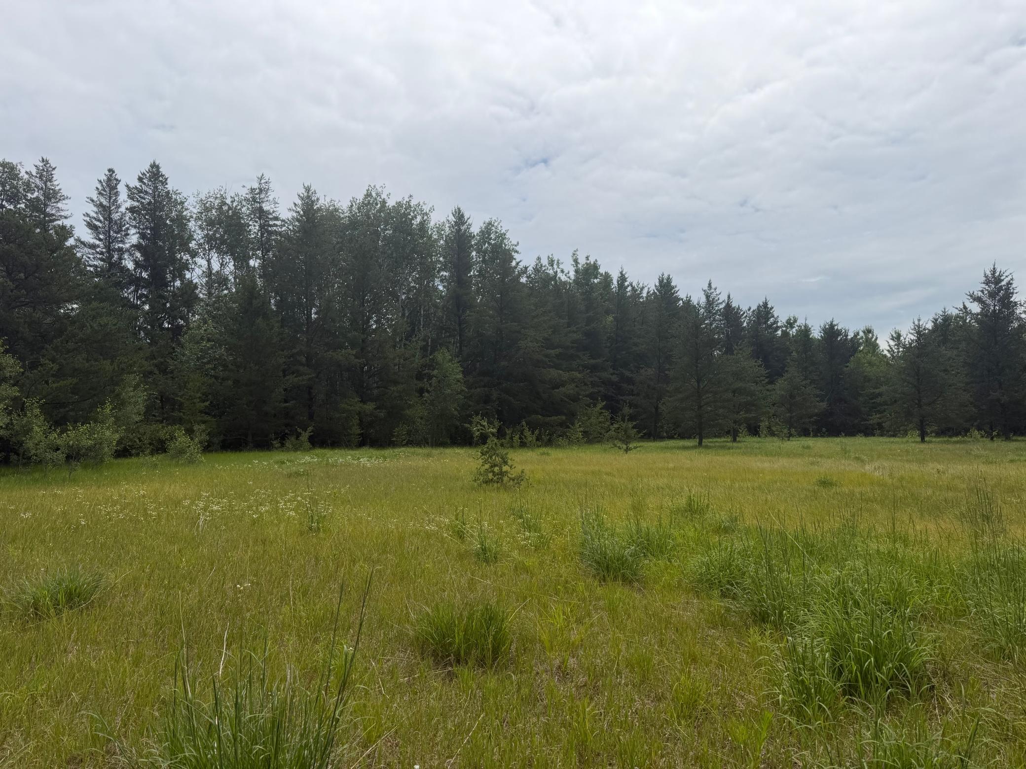 TBD 350th Street, Menahga MN 56464 - Photo 56 of 100